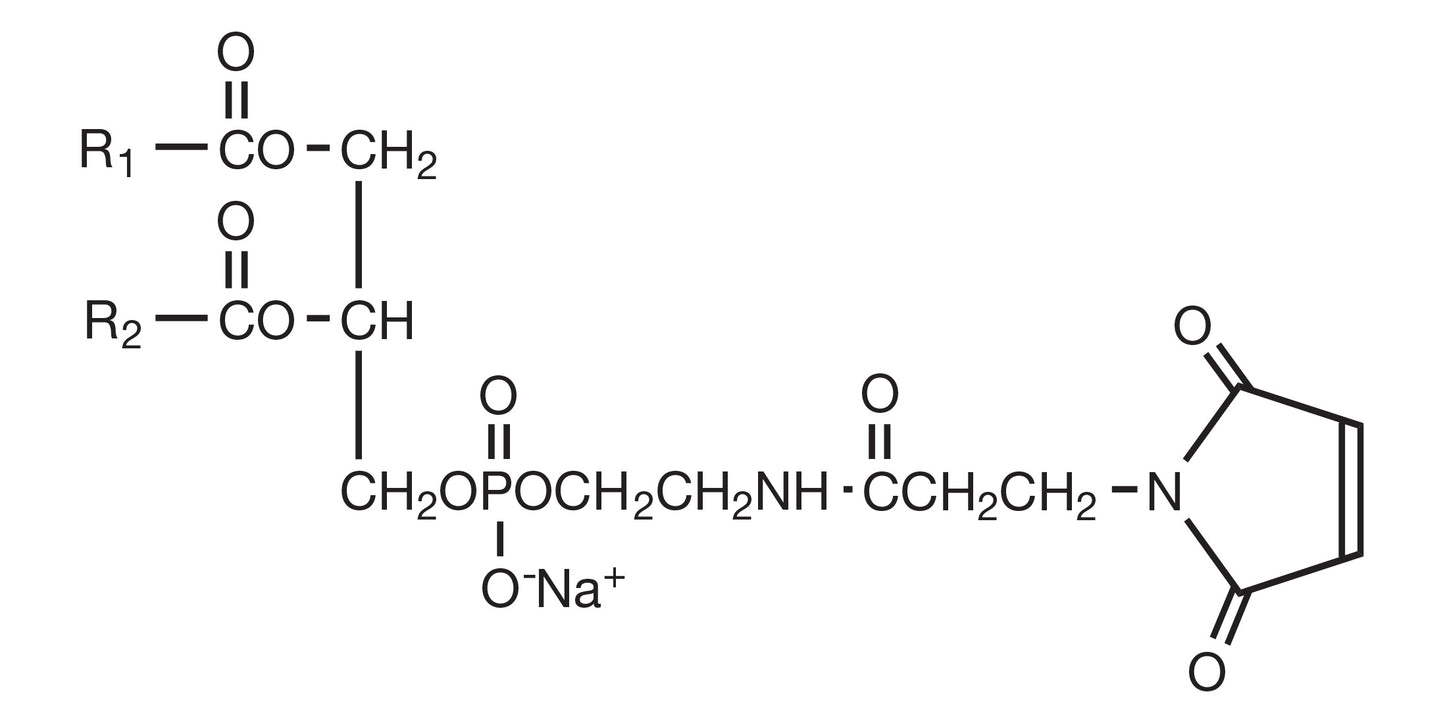 COATSOME® FE-4040MA3 (DMPE-MAL)