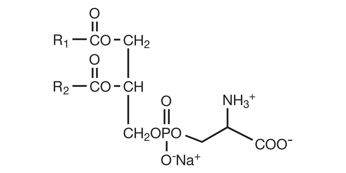 COATSOME MS-8080LS (DSPS-Na)*