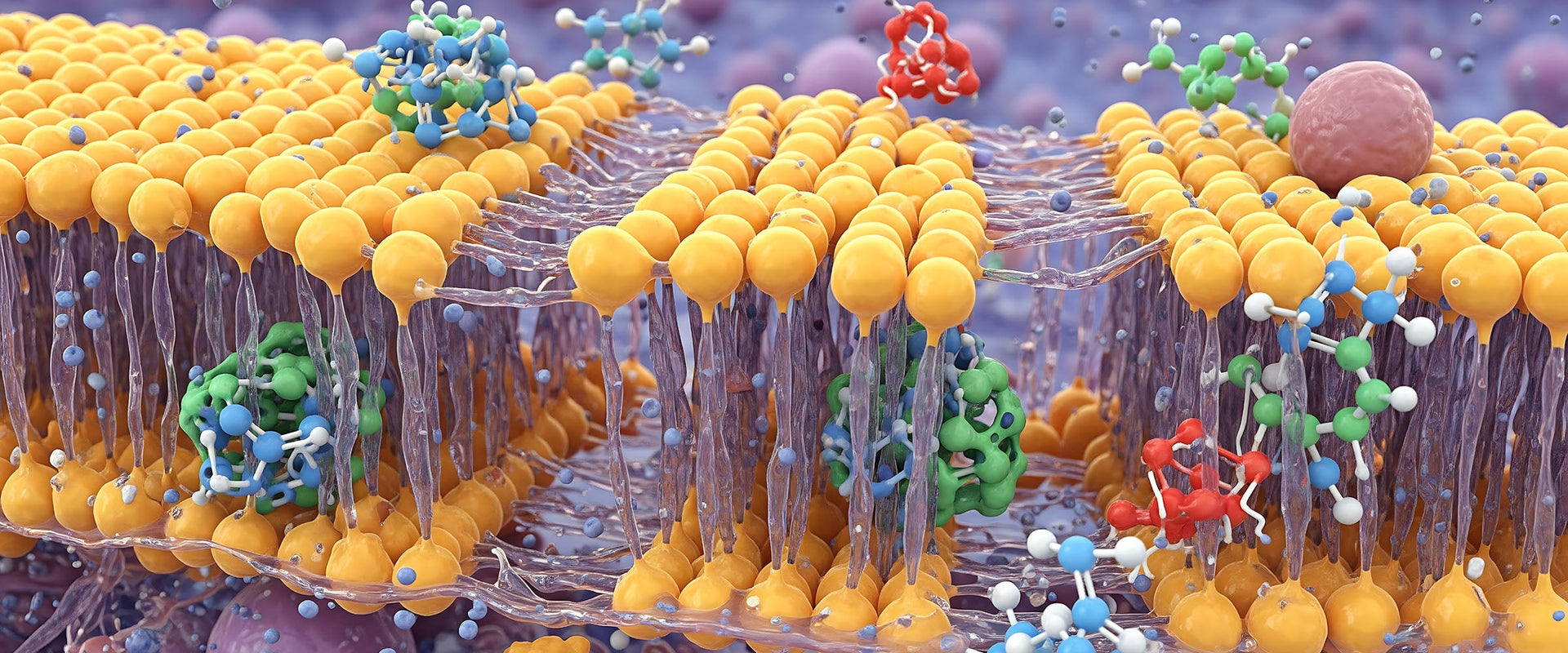 Biocompatible Materials