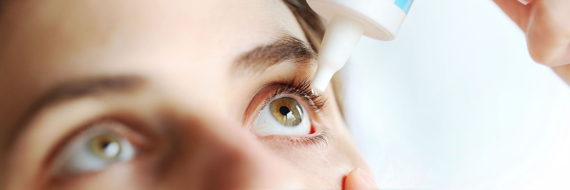 Ingredient for Eye Drop