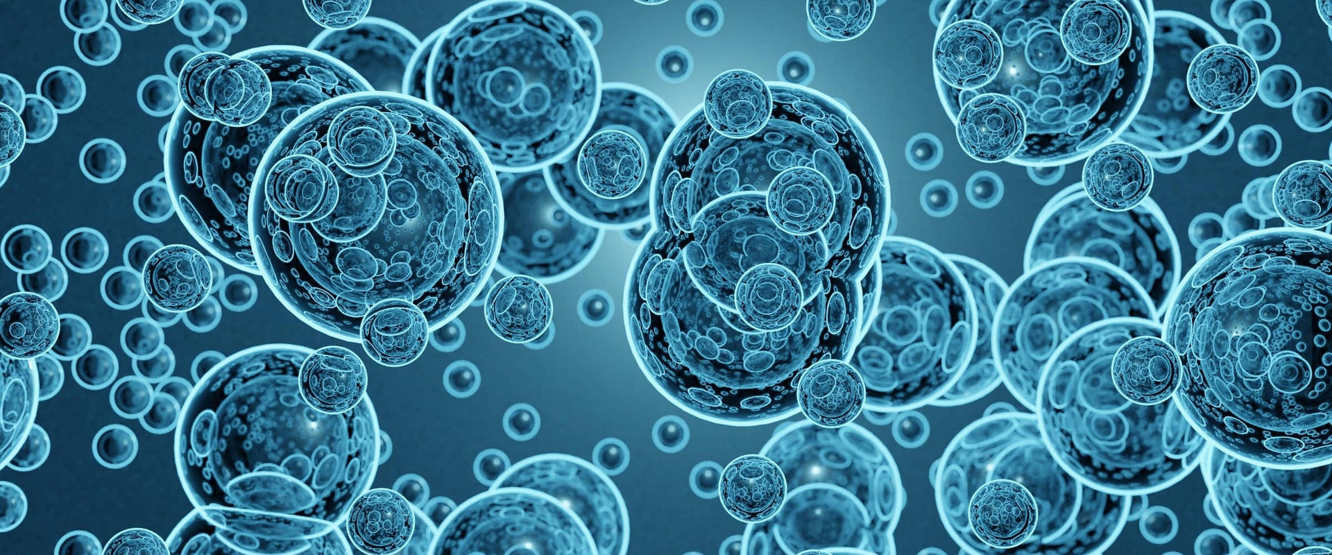 Phospholipids and Lipids
