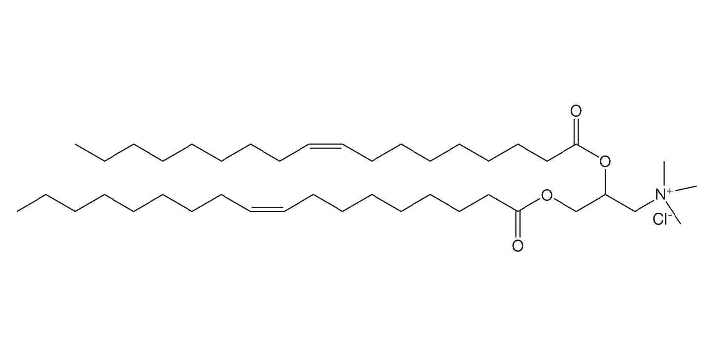 ABRIGO CL-8181TA(DOTAP)
