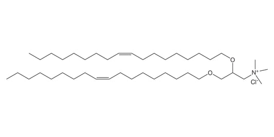 COATSOME CL-E8181TA (DOTMA)