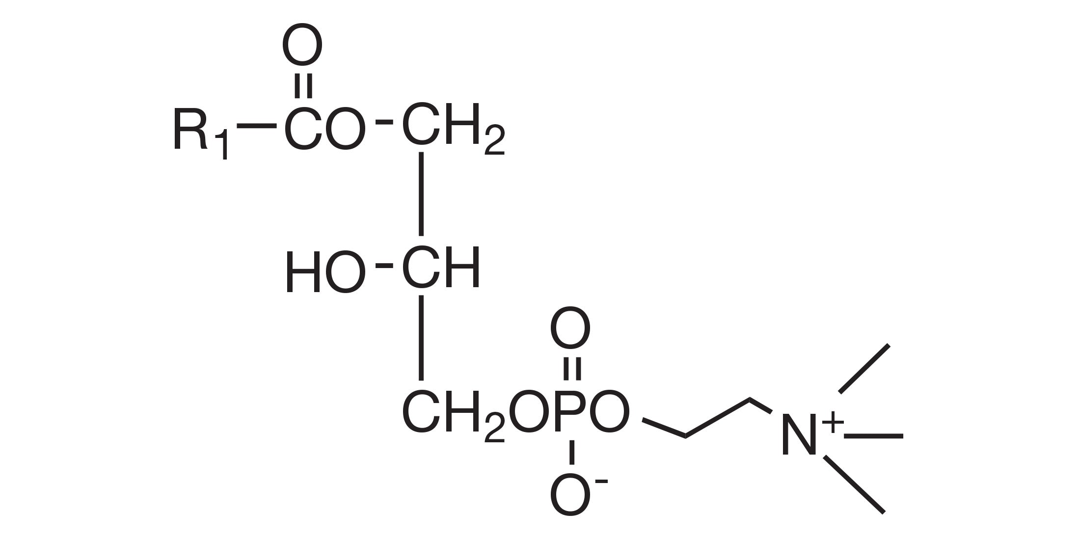 COATSOME® MC-81H(O-LysoPC) – NOF AMERICA CORPORATION