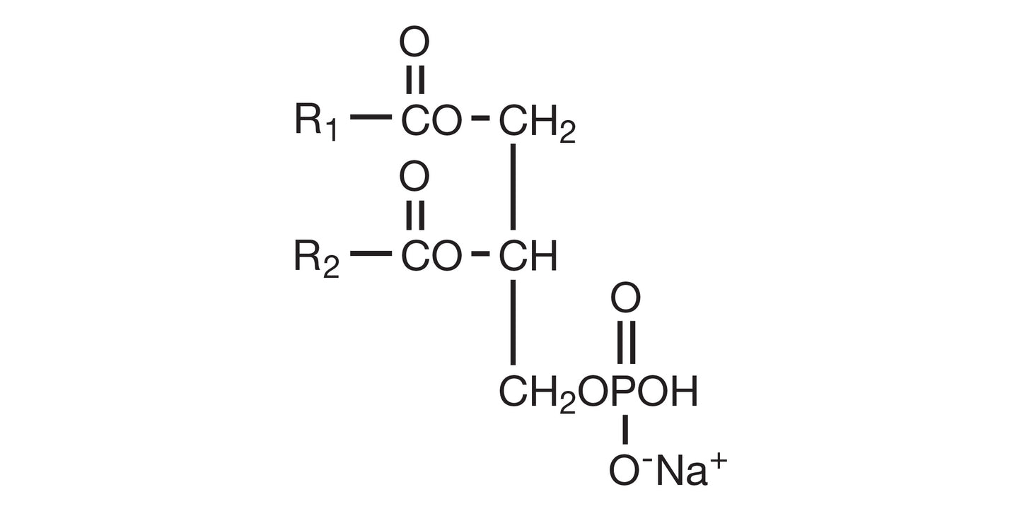 COATSOME MA-4040LS (DMPA-Na)*