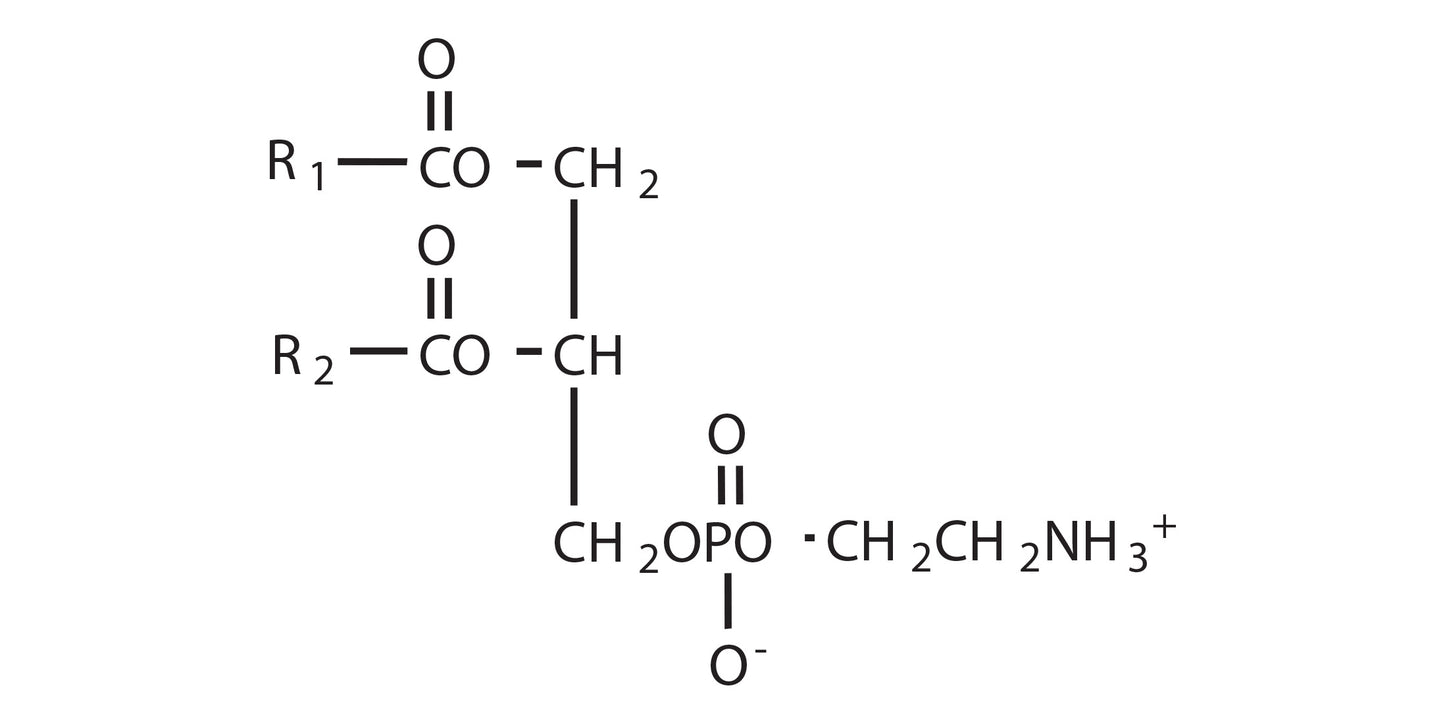 COATSOME ME-6060 (DPPE)