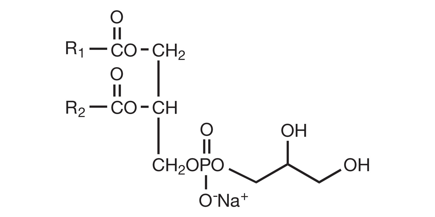 COATSOME MG-4040LS (DMPG-Na)
