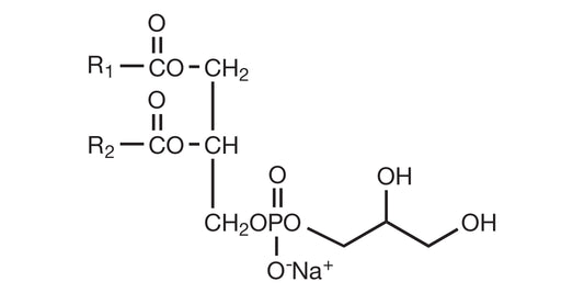 COATSOME MG-8181LS (DOPG-Na)