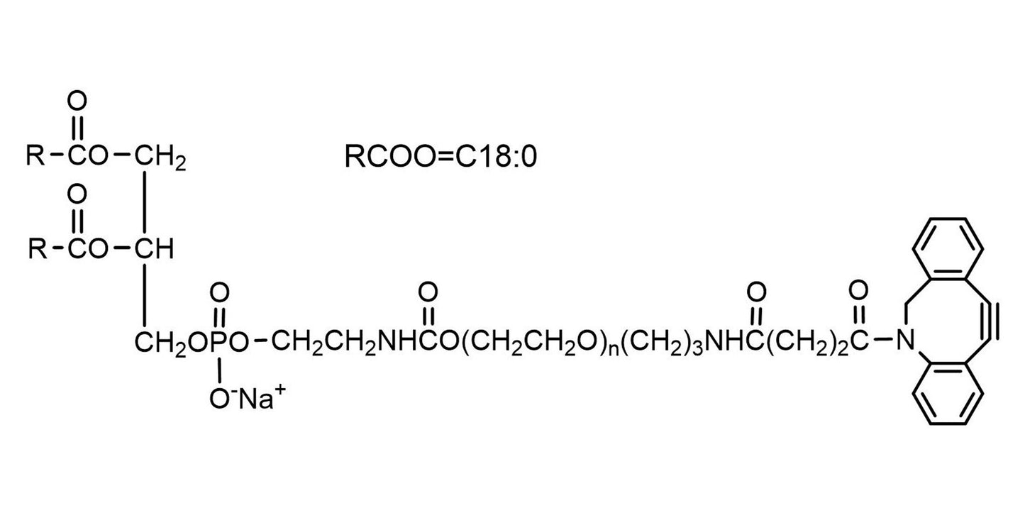 SUNBRIGHT® DSPE-020DB*