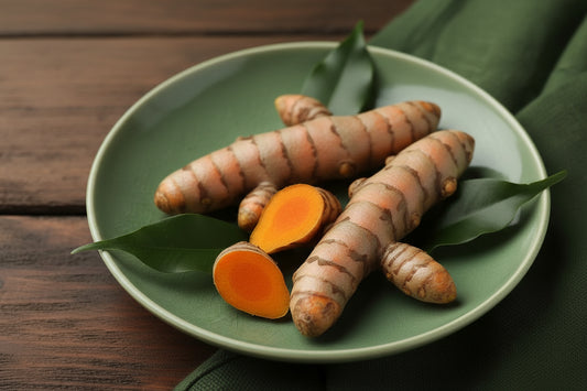 TURMERIC EXTRACT Plant-BG™