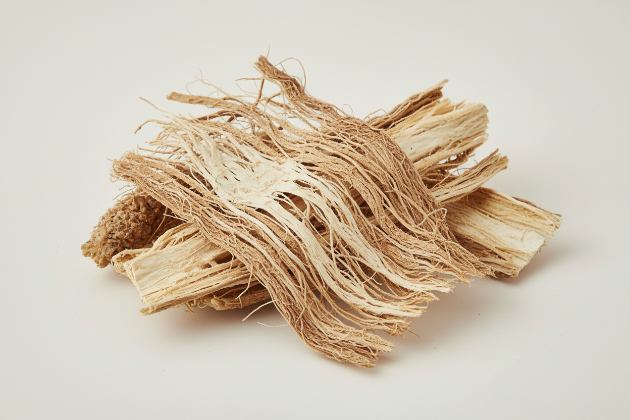 MULBERRY ROOT BARK EXTRACT™