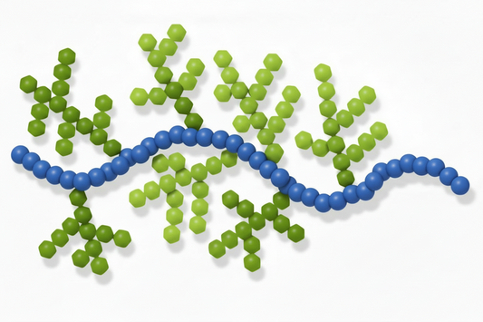 PHYTOPROTEOGLYCAN™