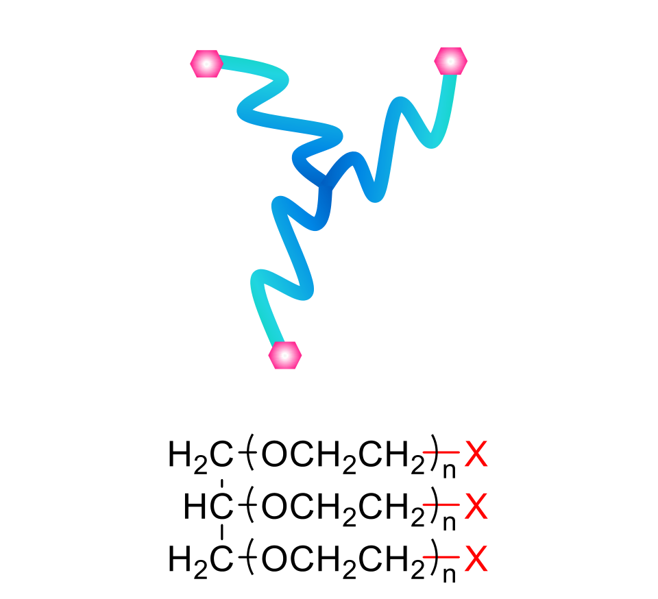 3-arm PEG with three PEG arms on a glycerine core, each ending in X
