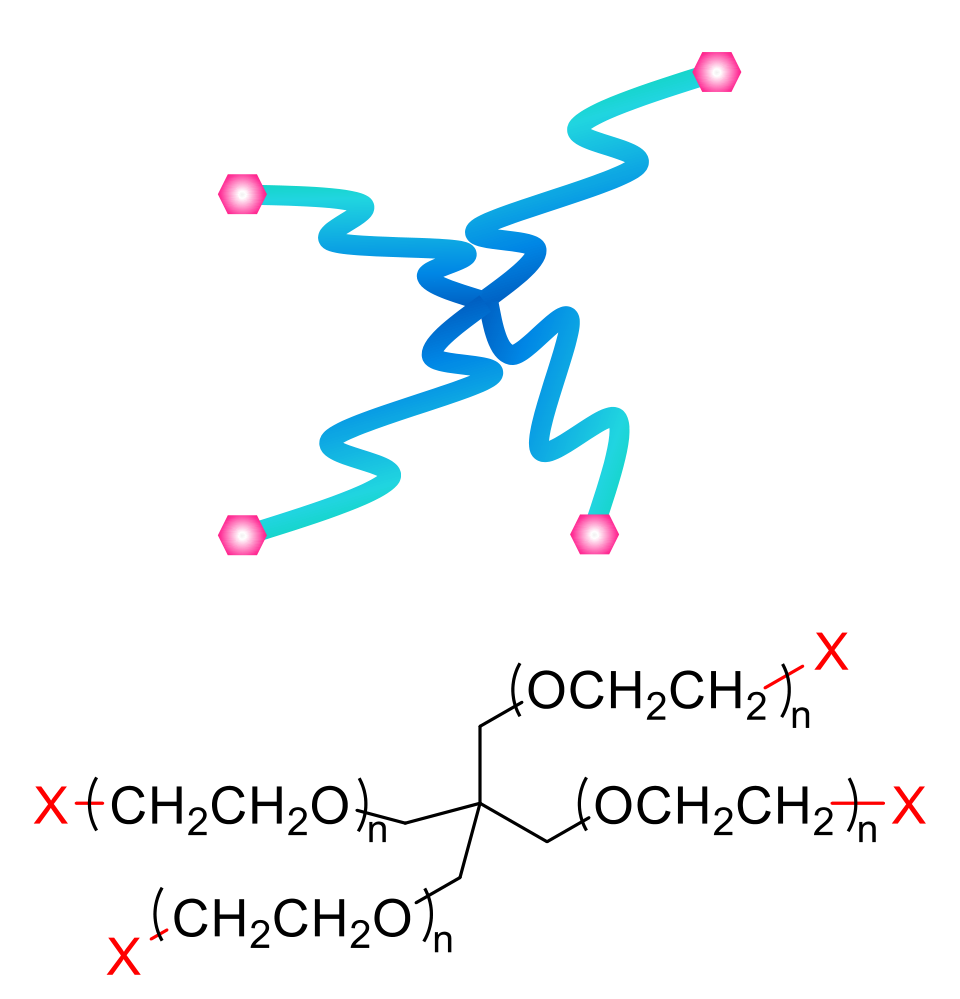 4-arm PEG with four PEG arms on a pentaerythritol core, each ending in X