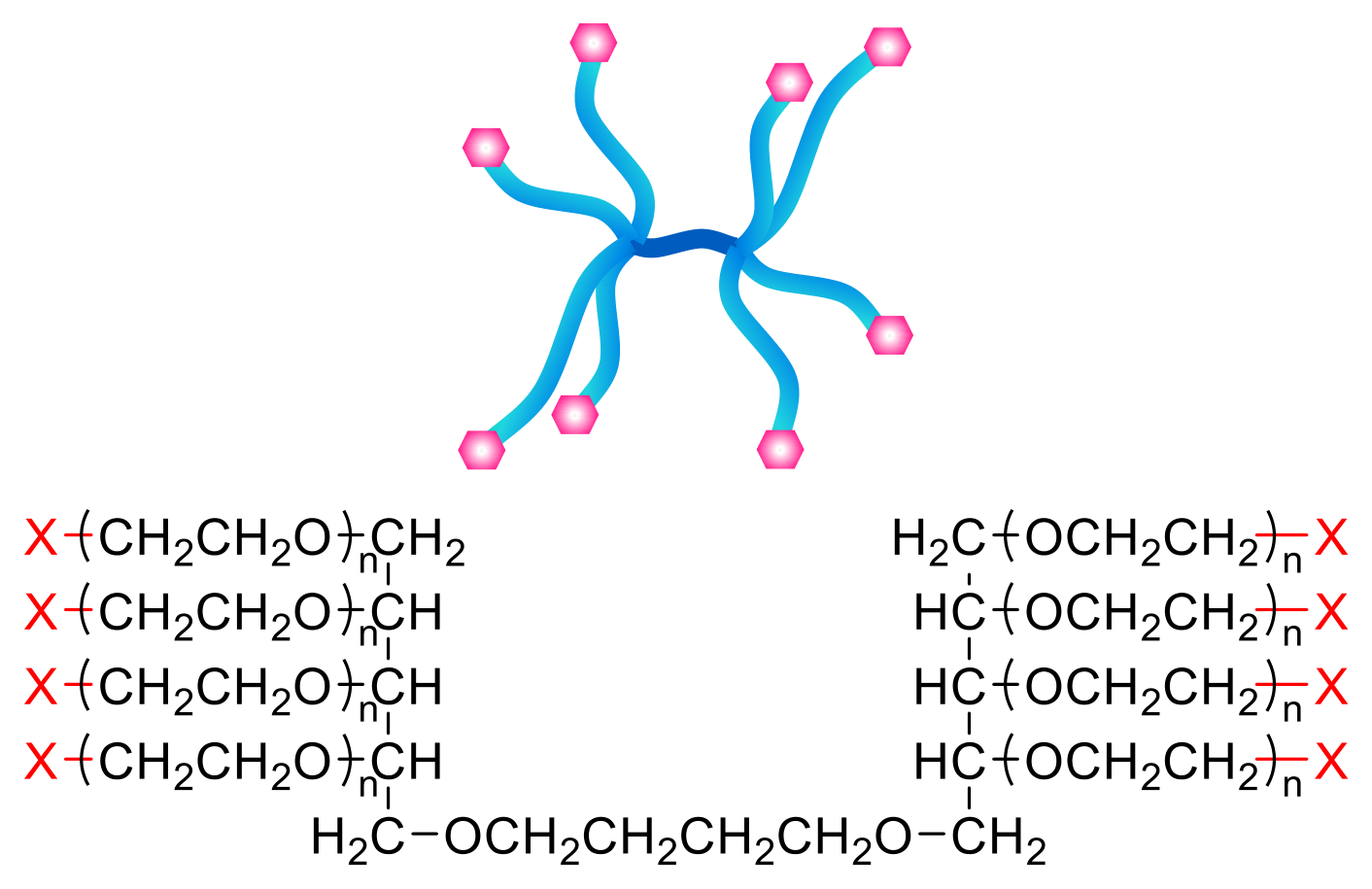 SUNBRIGHT DX series structure: two branched cores joined by an –OCH₂CH₂CH₂CH₂O– linker, each carrying four PEG arms that end in X