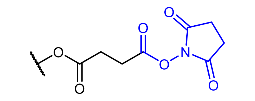 CS end group: succinimidyl succinate ester, –O–CO–CH₂CH₂–CO–O–NHS