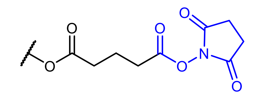 GS end group: succinimidyl glutarate ester, –O–CO–(CH₂)₃–CO–O–NHS