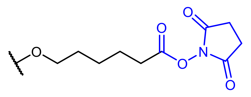 HS end group: –O–(CH₂)₅–CO–O–NHS, a succinimidyl hexanoate