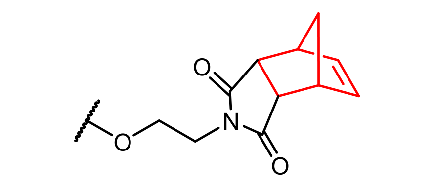 NB end group: –O–CH₂CH₂– bonded to the nitrogen of a norbornene dicarboximide