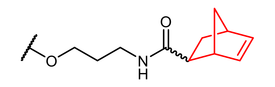 NB2 end group: –O–(CH₂)₃–NH–CO– amide bonded to a norbornene ring