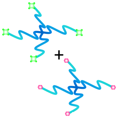 Two 4-arm PEGs, one ending in green and one ending in pink terminal functional groups