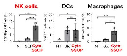Bar charts of GFP-positive NK cells, dendritic cells and macrophages for NT, Std and Cyto-SSOP. Cyto-SSOP reaches about 12% GFP-positive NK cells, well above NT and Std.