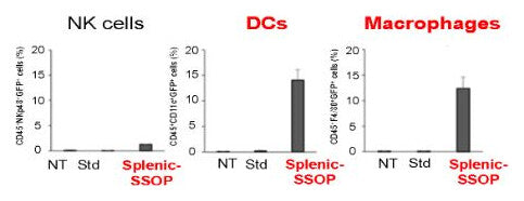Bar charts of GFP-positive NK cells, dendritic cells and macrophages for NT, Std and Splenic-SSOP. Splenic-SSOP reaches about 14% of dendritic cells and 12% of macrophages, with about 1% of NK cells.