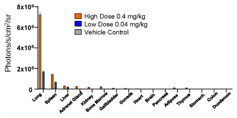 Bar chart of IVIS photon flux by tissue at 0.4 and 0.04 mg/kg. The lung shows the highest signal, roughly 7 × 10⁶ photons/s/cm²/sr at the high dose and 1.7 × 10⁶ at the low dose, followed by the spleen; other tissues are near zero.