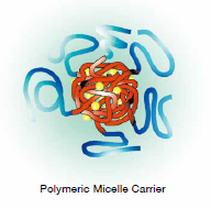 polymetric micelle carrier