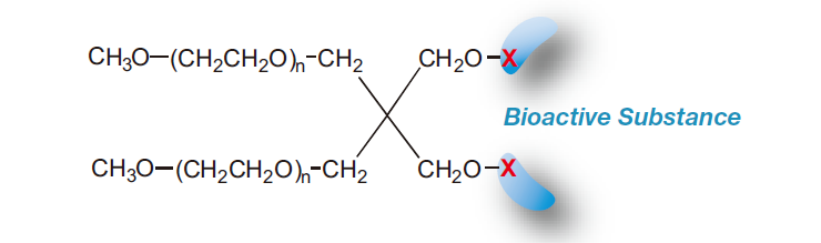 molecular formula