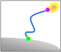 Polymer cross linking agent