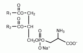 COATSOME® MS-6081LS (POPS-Na) Phospholipids
