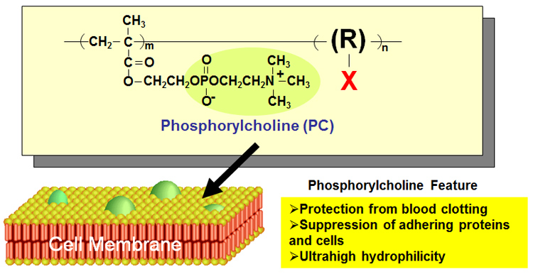 Chemical structure